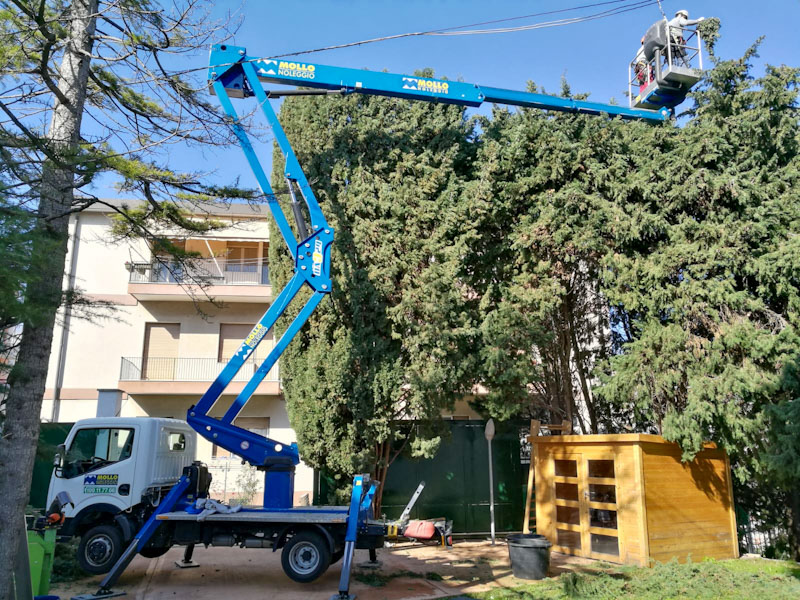 Prato a rotoli posato